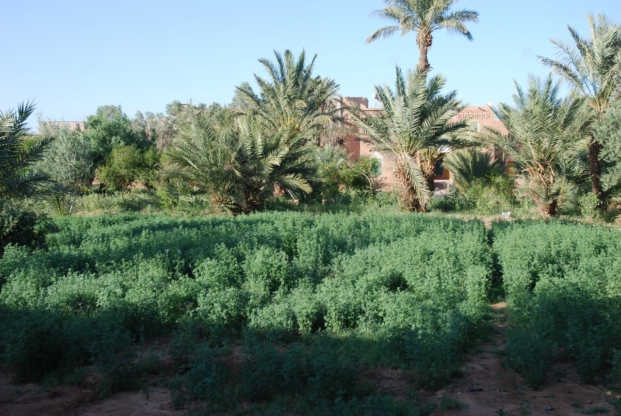 D'Hote Jnane-Dar Diafa Tamgrout Esterno foto