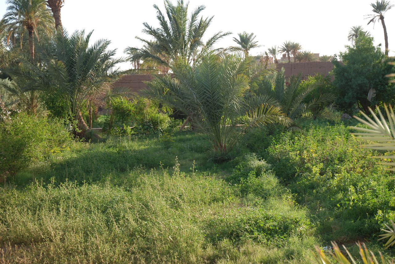 D'Hote Jnane-Dar Diafa Tamgrout Esterno foto